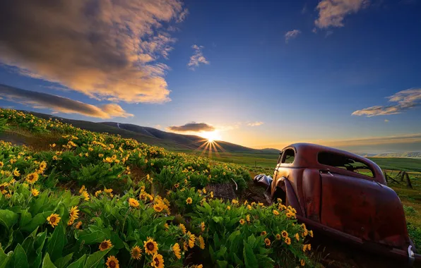 Машина, цветы, восход, рассвет, холмы, утро, луг, автомобиль