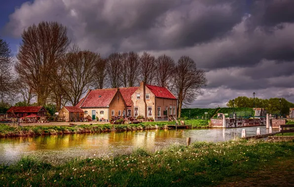 Трава, деревья, природа, река, HDR, дома, весна, Нидерланды