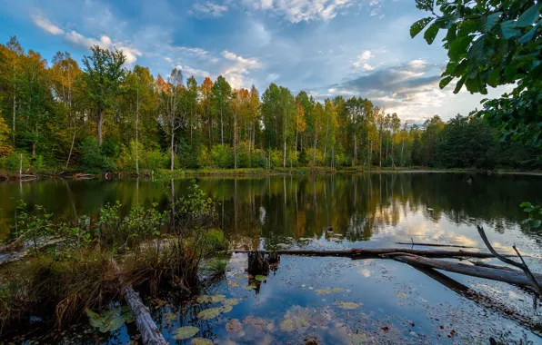 Картинка осень, лес, пейзаж, природа, озеро, отражение