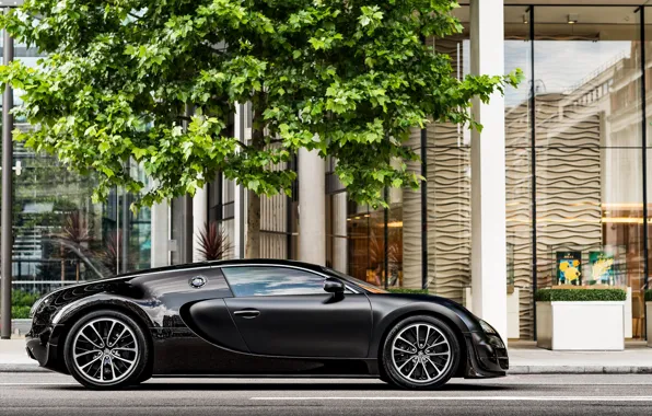 Чёрный, Veyron, Bugatti Veyron, гиперкар