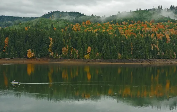Осень, лес, облака, горы, туман, озеро, отражение, берег