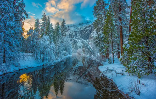 Картинка зима, лес, снег, деревья, горы, отражение, река, Калифорния