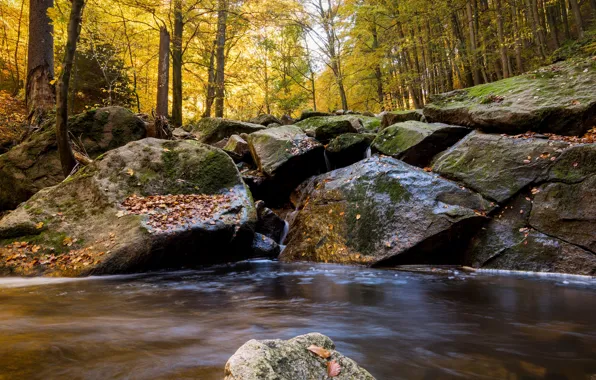Картинка осень, лес, вода, река, камни, водопад, hdr, ultra hd