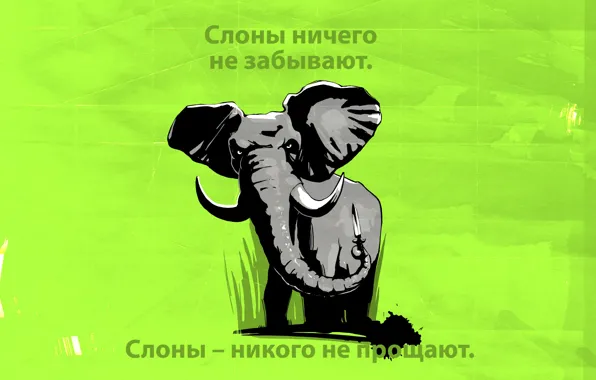 Слон, большой, слоняра, красота массы, слонище