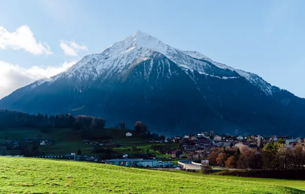 Картинка Луга, Дома, Швейцария, Лето, Switzerland, Spiez, Шпиц, Снежная гора