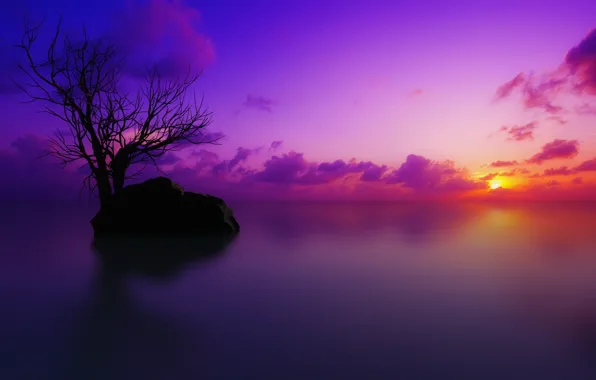 Картинка закат, дерево, цвет