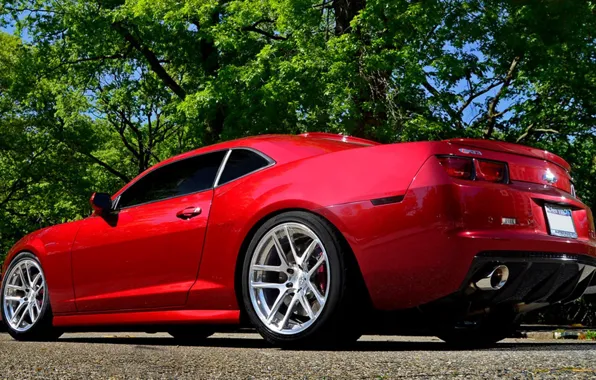 Авто, красный, camaro, chevrolet