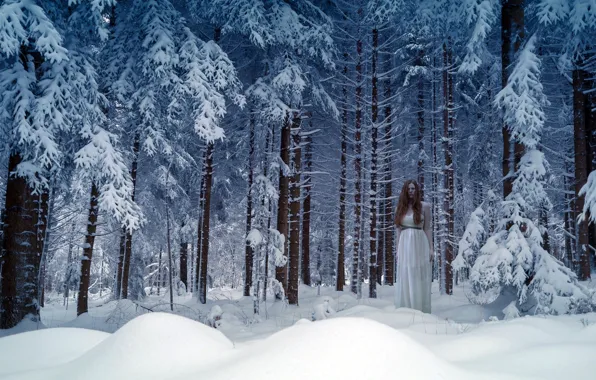 Картинка лес, девушка, снег, природа