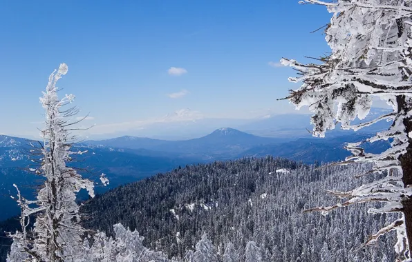 Картинка зима, лес, белый, снег, горы, синий