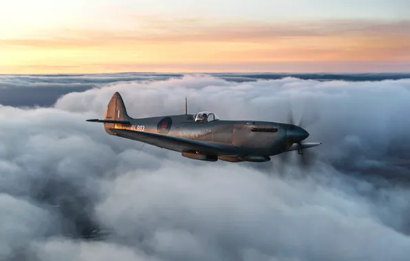 Небо, Облака, Истребитель, Spitfire, RAF, Вторая Мировая Война, Supermarine Seafire, Spitfire PR.Mk XI