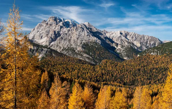 Осень, лес, небо, солнце, деревья, пейзаж, горы, природа