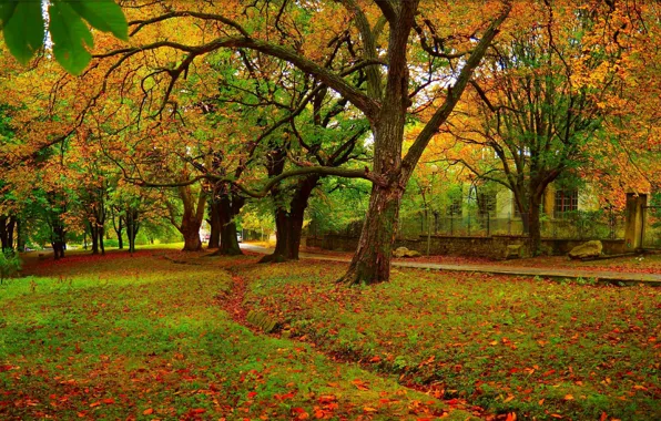 Картинка Осень, Деревья, Парк, Fall, Листва, Park, Autumn, Colors