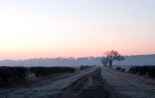 Дорога, пейзаж, ночь