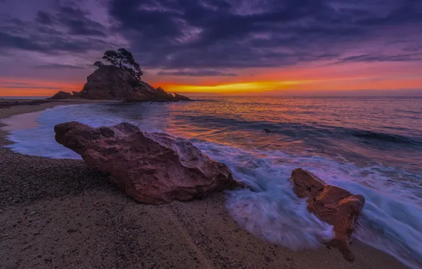 Песок, море, пляж, небо, закат, камни, дерево, скалы