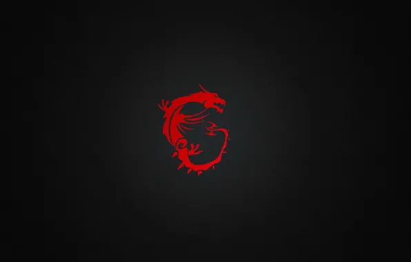 Бренд, MSI, MSI Defense Solutions