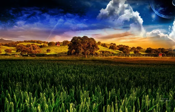 Картинка поле, небо, дерево, Andrea Andrade