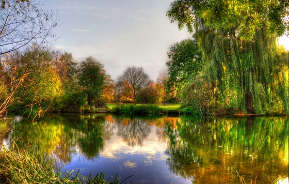 Картинка осень, деревья, река, берега, кустарник, жёлто-зелёная листва, тихая гладь