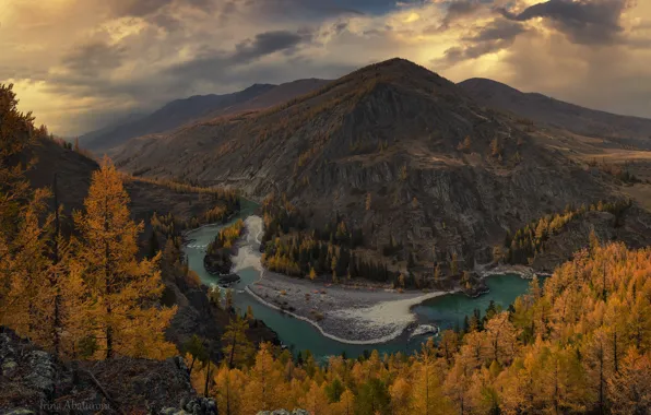 Осень, пейзаж, горы, природа, река, леса, Алтай, излучина