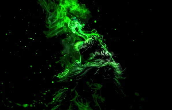 Lion, Smoke, AMOLED, Green aesthetic
