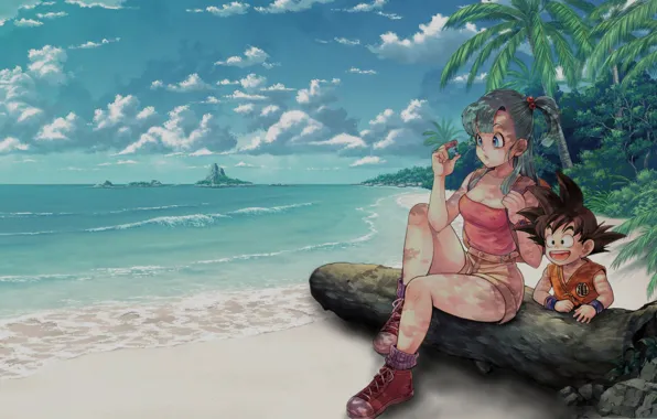 Clouds, Dragon, Beach, Bra, Ball, Ocean, Goku, Palm