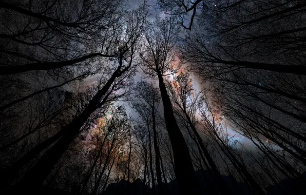 Light, sky, sunset, night, clouds, shadows