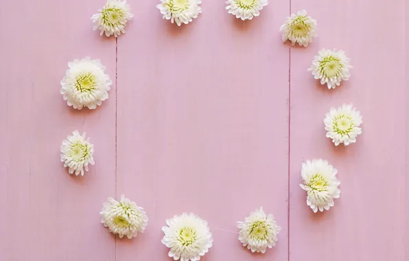 Цветы, white, белые, бутоны, wood, pink, flowers, decoration