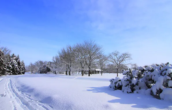 Картинка зима, дорога, небо, снег, деревья, дом