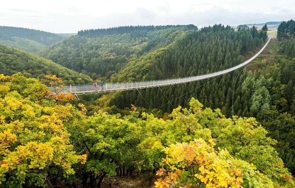 Картинка осень, лес, деревья, мост, Германия, долина, пропасть, канатный