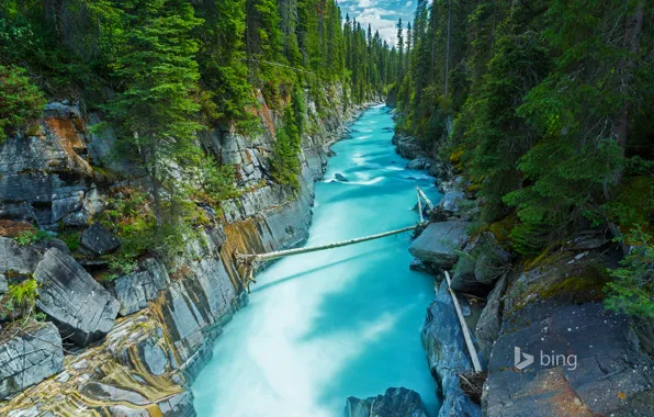 Картинка лес, река, скалы, Канада, British Columbia, Британская Колумбия, National Park, Нума-Фолс