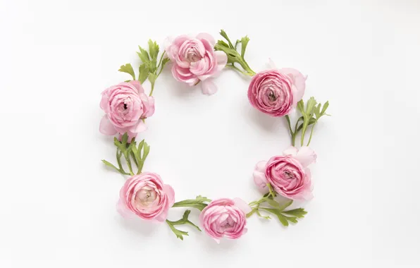 Цветы, розовые, pink, flowers, пионы, peonies