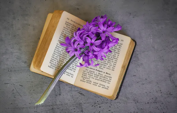 Картинка фиолетовый, цветы, текст, ретро, веточка, серый, фон, книга
