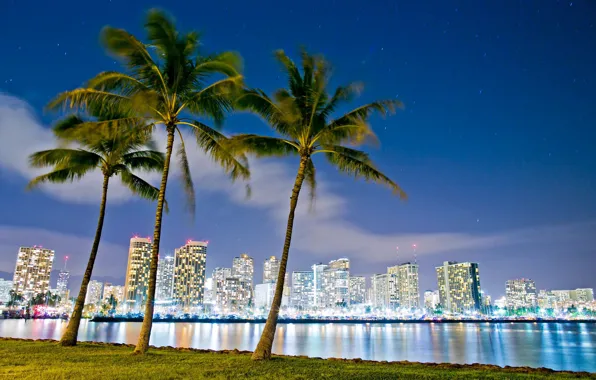 Картинка ночь, огни, Гаваи, Гонолулу, Ала Моана, пляжный парк