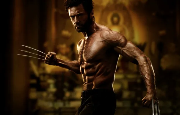 Картинка Росомаха, Wolverine, Hugh Jackman, Logan, Хью Джекман, The Wolverine