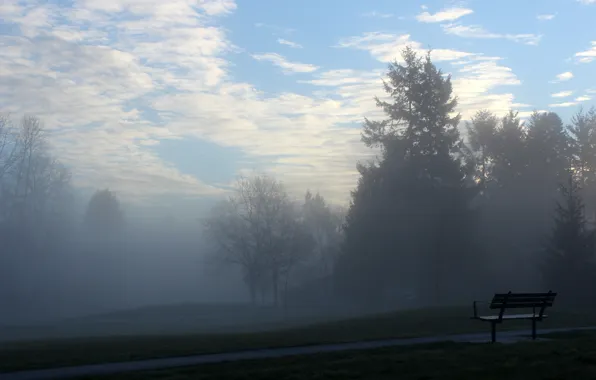 Картинка туман, настроение, утро, скамья