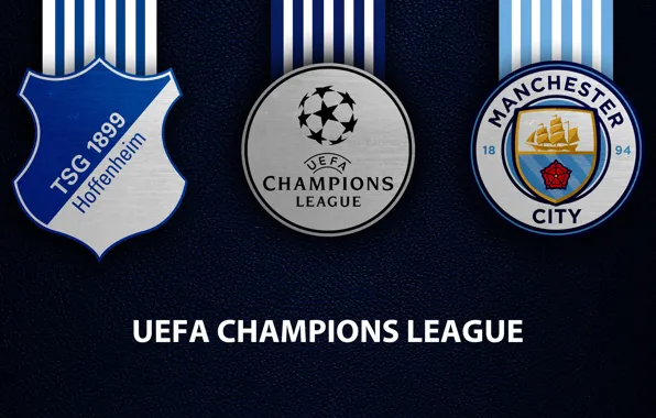 Wallpaper, sport, logo, football, Manchester City, UEFA Champions League, TSG 1899 Hoffenheim, TSG 1899 Hoffenheim …