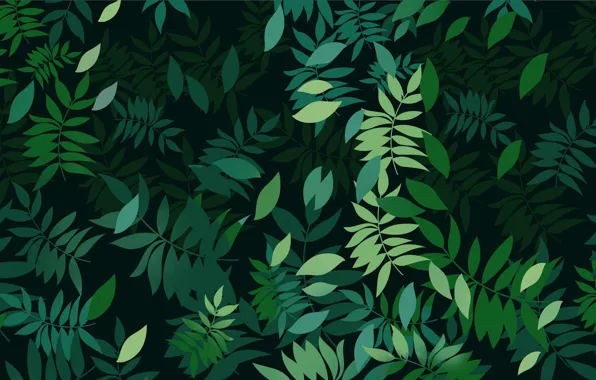 Листья, Растения, Leaves, Plants, Green Background, Зеленый Фон