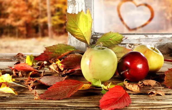 Картинка осень, лес, листья, яблоки, рама, сердечко