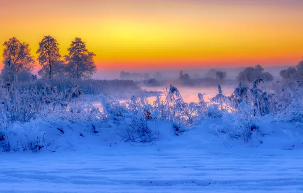 Зима, снег, деревья, река, восход, рассвет, утро, Польша