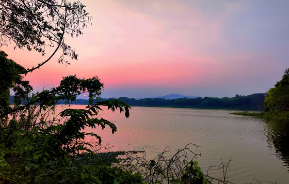Sun, Water, Sunrise, Dawn, Morning, Lake, Trees, Reflection