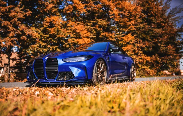 BMW, Blue, Autumn, Road, Trees, BMW M4