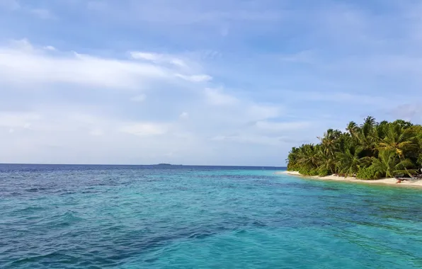 Пляж, тропики, пальмы, океан, relax, Maldives