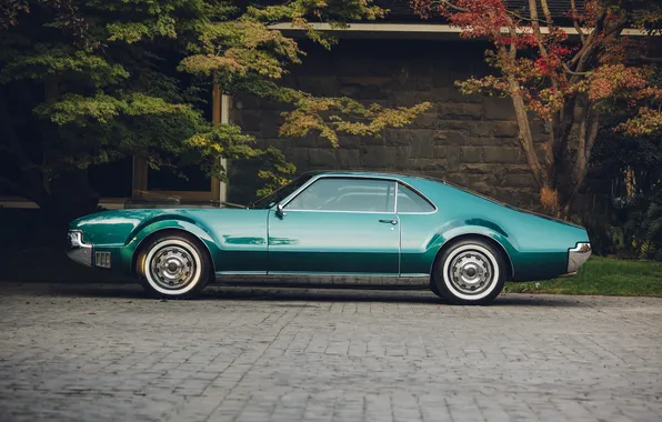 Nature, muscle car, old, model, oldsmobile, motor vehicle, nobody