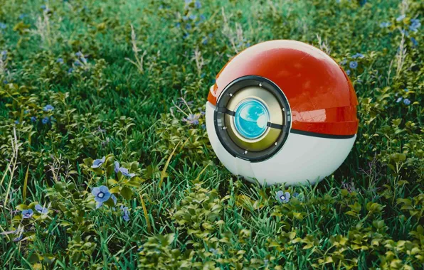 Картинка детская, покебол, The Hakbit, Pokeball Project