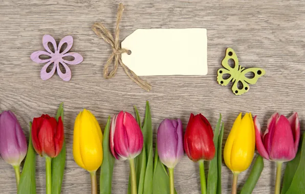 Картинка цветы, colorful, тюльпаны, love, flowers, romantic, tulips, spring