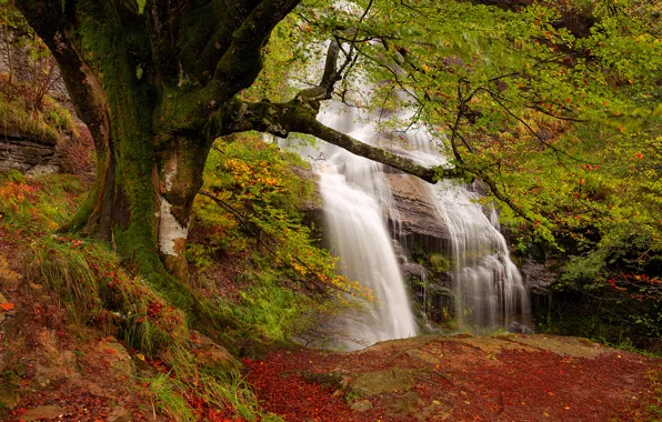 Картинка осень, лес, скалы, водопад, поток