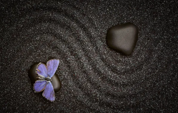 Картинка песок, узор, бабочка, камень, текстура