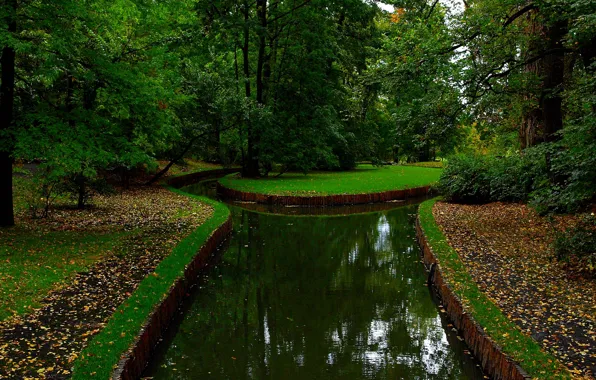 Картинка зелень, осень, деревья, парк, green, Природа, канал, листопад