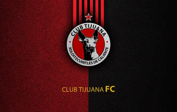 Картинка Sport, Club Tijuana, football, wallpaper, logo