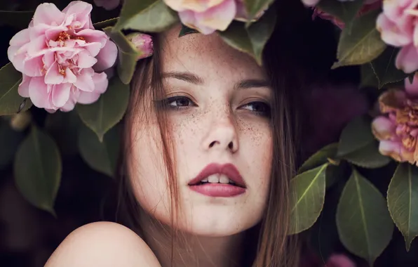 Взгляд, девушка, портрет