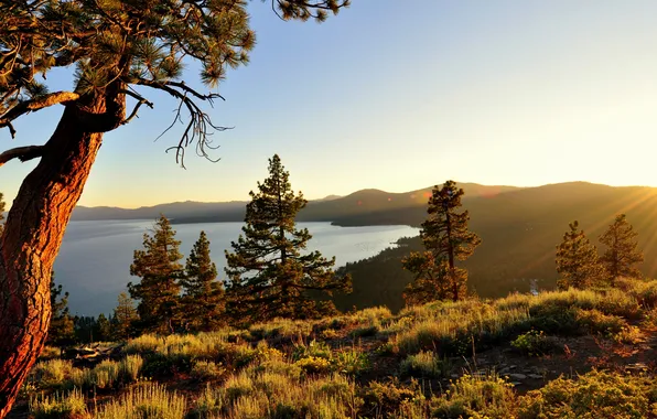 Природа, калифорния, озеро Тахо, high sierra